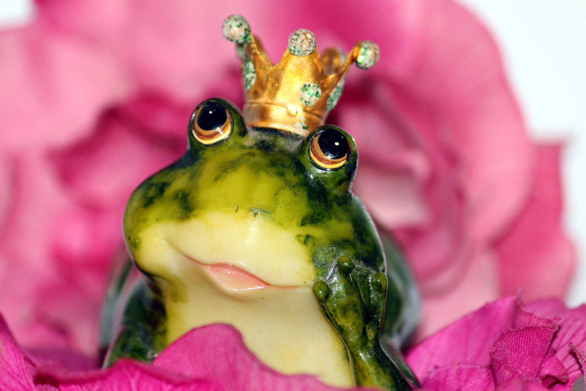 frog-prince-gc9491c1e5_1920